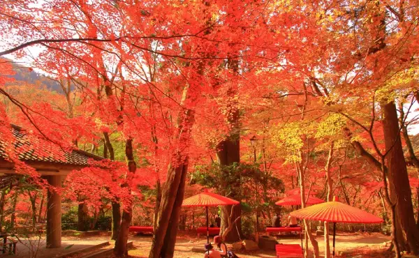 瑞宝寺公園
