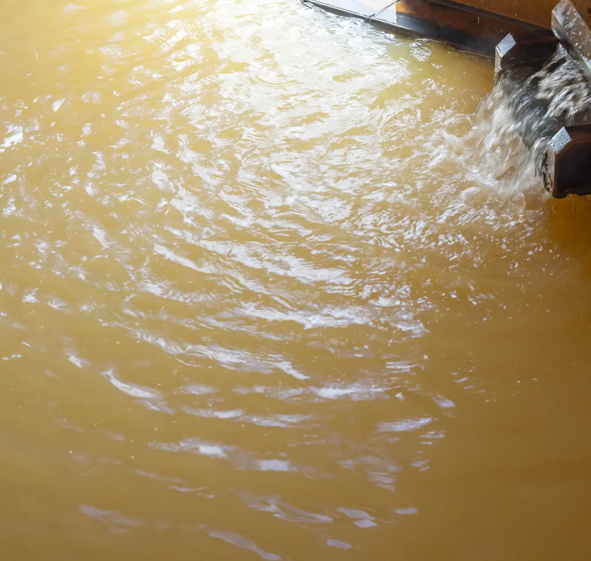 金泉が満たす、癒やしの湯