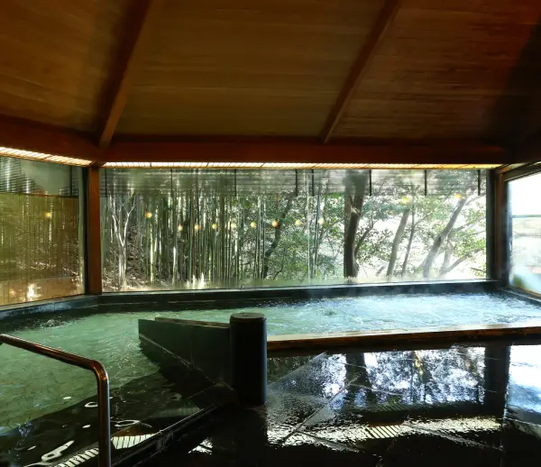 金泉が満たす、癒やしの湯
