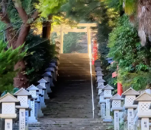 食事