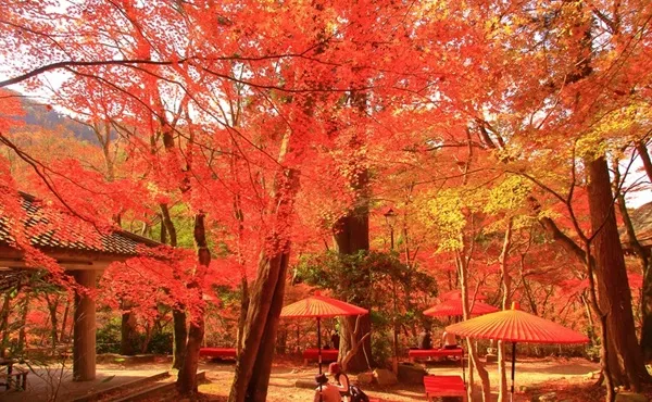 瑞宝寺公園